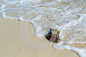 Grand Turk and Caicos