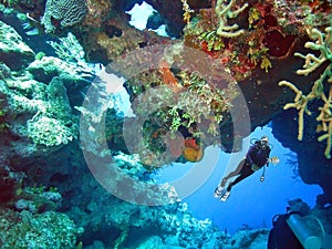 A Grand Turk Scuba Diver Enjoys the Lush Coral Reefs photo