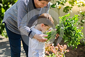 Grandchild and grandmother smelling freshly picked parsley