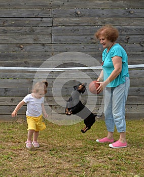 Granddaughter, grandmother and black and tan dachshund play basketball on lawn in summer