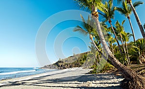 Grande Anse beach, Reunion Island photo