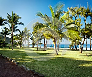 Grande Anse beach, Reunion Island
