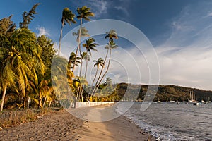 Grande Anse d'Arlet, Martinique photo