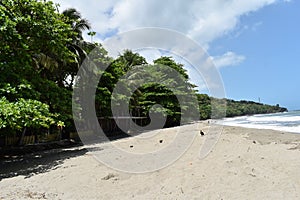Grande Riviere Beach, Trinidad and Tobago, West Indies