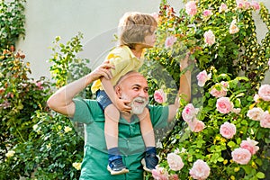 Grandfather carrying his grandson having fun in the park at the summer time. Happy grandfather and grandson relaxing