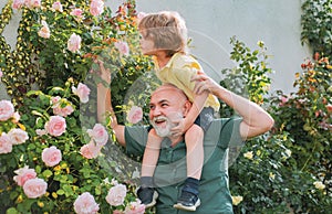 Grandfather carrying his grandson having fun in the park at the summer time. Happy grandfather and grandson relaxing