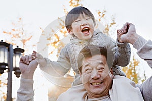 Grandfather Carrying Laughing Grandson on His Shoulders