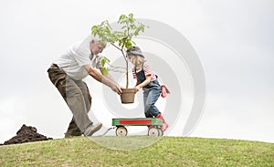 Grandfather and child planting tree in park family togetherness