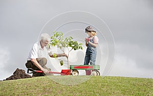 Grandfather and child planting tree in park family togetherness