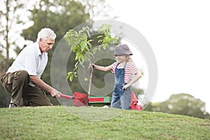 Grandfather and child planting tree in park family togetherness