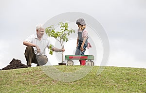 Grandfather and child planting tree in park family togetherness