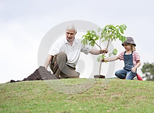 Grandfather and child planting tree in park family togetherness