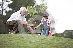 Grandfather and child planting tree in park family togetherness