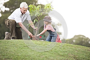 Grandfather and child planting tree in park family togetherness