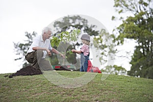 Grandfather and child planting tree in park family togetherness