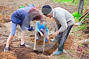 Grandfather, daughter and grandson planting trees