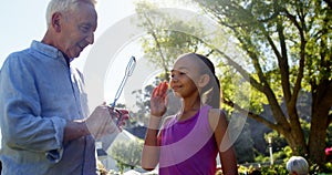 Grandfather and granddaughter preparing barbecue while family having meal 4k