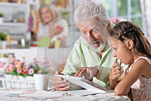 Grandfather with granddaughter using laptop