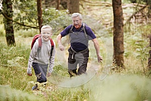 Grandfather and grandson hiking in a forest amongst greenery, selective focus