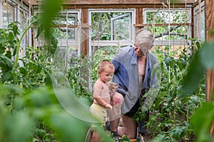 Grandfather and grandson working in the greenhouse in ther garden