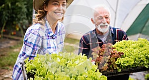 Grandfather growing organic vegetables with grandchildren and family at farm