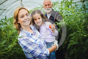 Grandfather growing organic vegetables with grandchildren and family at farm