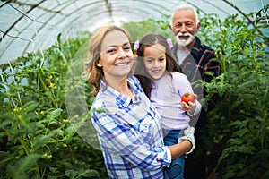 Grandfather growing organic vegetables with grandchildren and family at farm