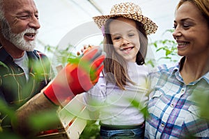 Grandfather growing organic vegetables with grandchildren and family at farm