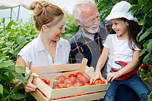 Grandfather growing organic vegetables with grandchildren and family at farm