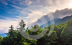 Grandfather Mountain in fog, near Linville, North Carolina.