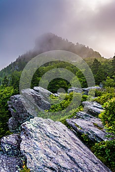 Grandfather Mountain in fog, near Linville, North Carolina.