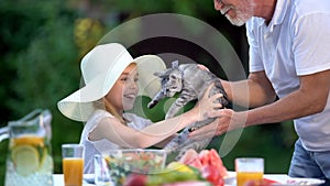 Grandfather presenting cat to happy girl in hat, surprise present, anticipation