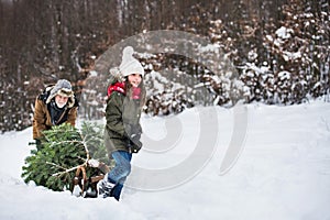 Grandfather and small girl getting a Christmas tree in forest. Copy space.
