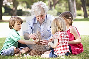 Grandfather Teaching Grandchildren To Build Camp Fire