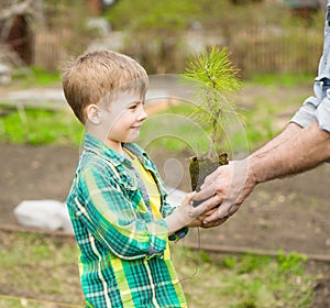 Grandfather transmits to his grandson cedar sapling