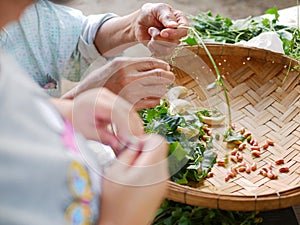 Grandma`s hands preparing vegetables for cooking with defocus foreground of her little granddaughter`s hands learning to do it too