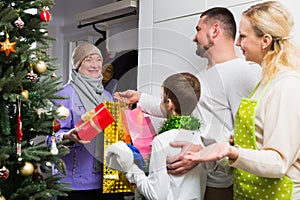 Grandma visiting her family at Christmas photo