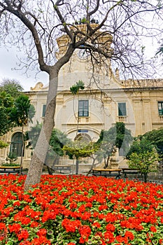 Grandmaster`s Palace Garden, Malta photo