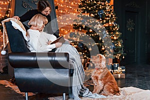 Grandmother with book in hand and young girl indoors with dog in christmas decorated room