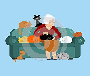 Grandmother and cat sitting on chair. granny cat lady. grandma a