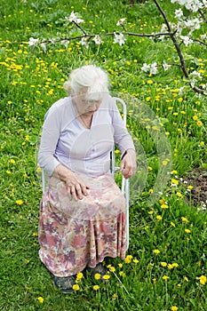 The grandmother in  garden under a blossoming