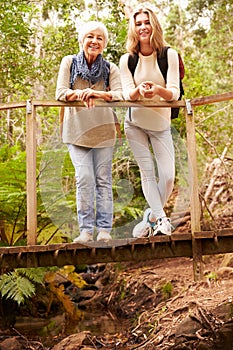 Grandmother and granddaughter on bridge in forest, vertical