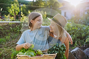 Grandmother with granddaughter with crate full of vegetables. Concept of importance of grandparents - grandchild