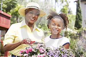 Grandmother With Granddaughter Gardening Together photo