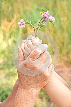 Grandmother and granddaughter hands holding bouquet of wildflowers, close up, love concept
