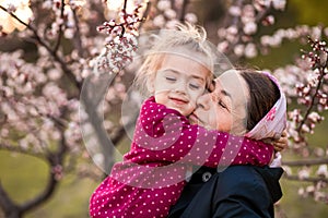 Grandmother and granddaughter together, hugging and laughing in a Flowering apricot garden. Family outdoors lifestyle