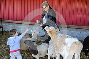 Grandmother helping a Boy Feeding Farm Animals