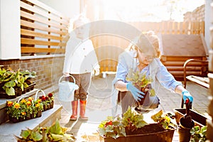 Grandmother with her little granddaughter gardening in a backyard. Different generation. Grandmawith and granddaughter planting