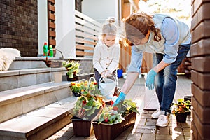 Grandmother with her little granddaughter gardening in a backyard. Different generation. Grandmawith and granddaughter planting