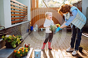 Grandmother with her little granddaughter gardening in a backyard. Different generation. Grandmawith and granddaughter planting.